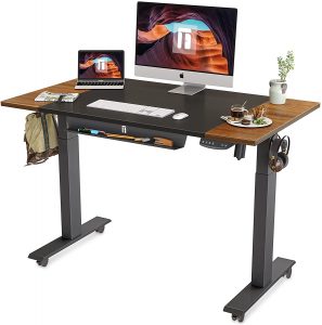 FEZIBO Height Adjustable Electric Standing Desk