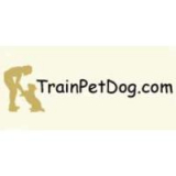 American Staffordshire Terrier: Breed Temperament, Exercise Needs & Health
